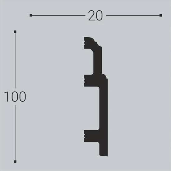 Напольные плинтусы П10 100x20